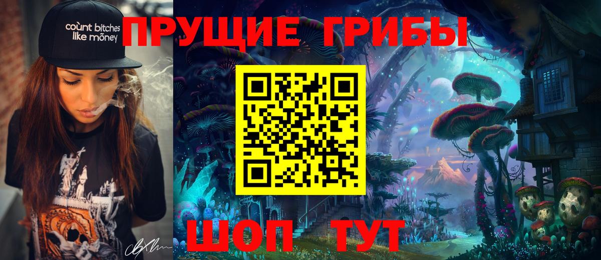 Донецк  сколько стоит  Вход с VPN  Псилоцибиновые грибы Cubensis 