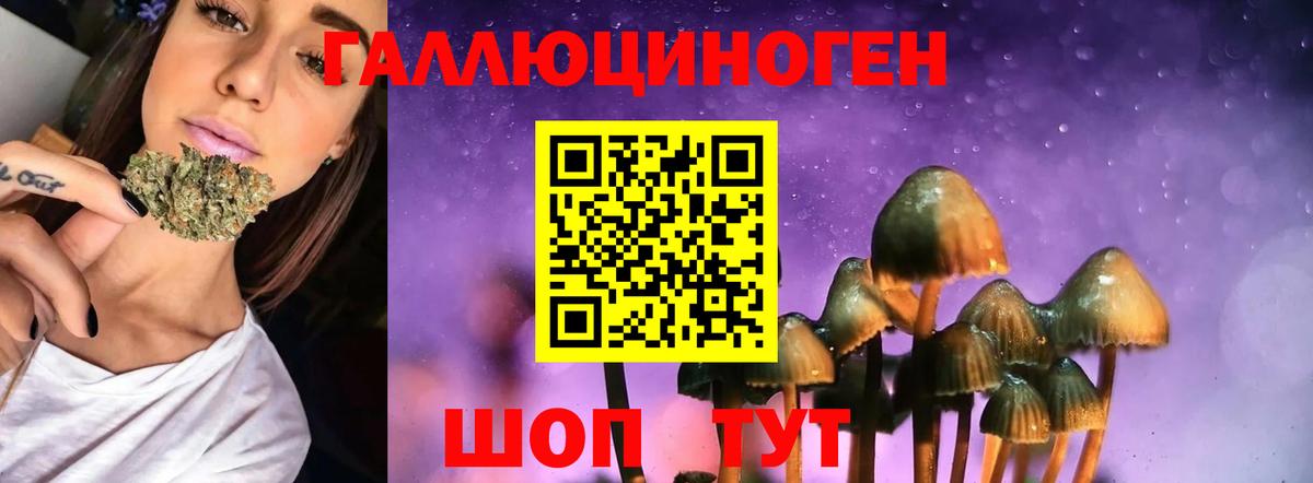 Галлюциногенные грибы ЛСД Донецк